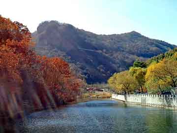 新澳天天开奖资料大全旅游团，小炒炉